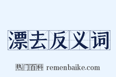漂去反义词是什么意思的图片